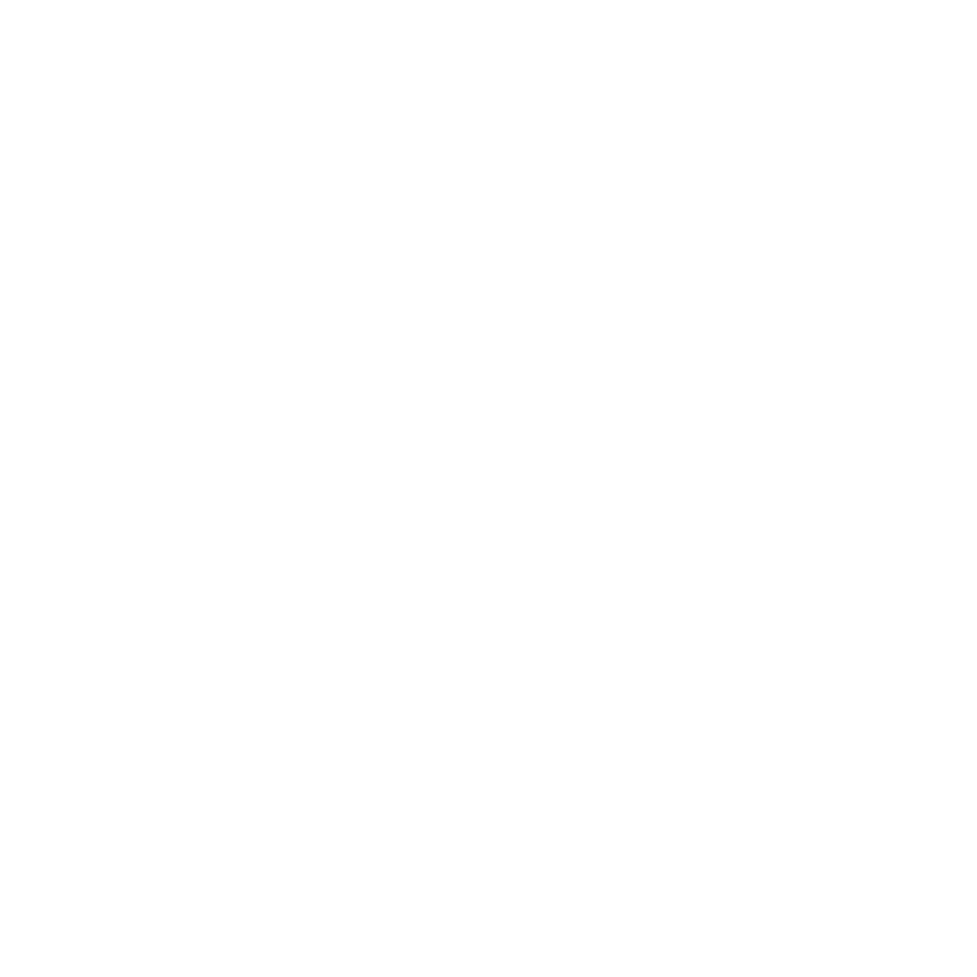 Villa Briccone Logo bianco